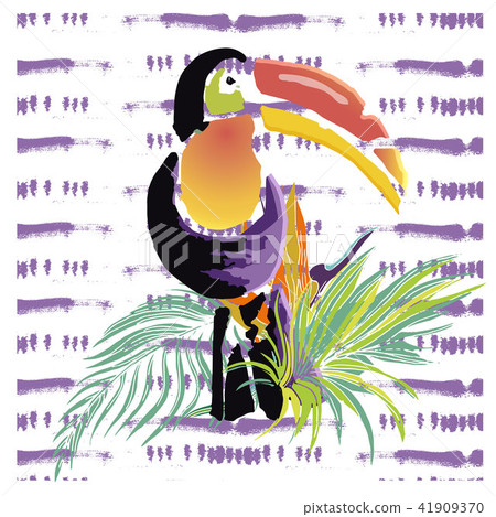 Tropical Toucan bird. Wild exotic animal. Tropical Toucan bird. Wild exotic animal. 41909370