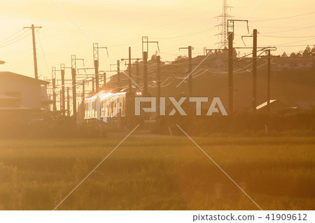 Evening landscape of summer Evening view of satoyama 41909612