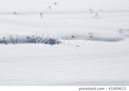 Winter Satoyama Morning snowy field 41909613