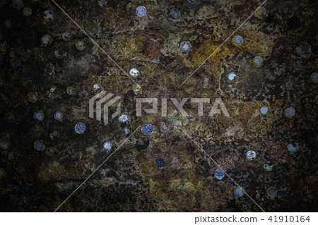 The wall in the old wine cellar with glued coins 41910164