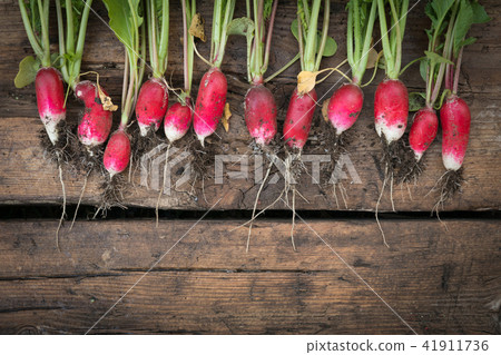 Still life fresh radish vegetables crop background 41911736