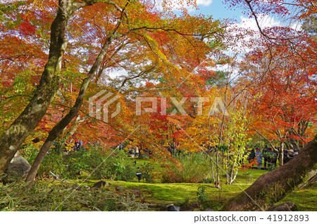 The autumn leaves of Kyoto (Jujoin) The autumn leaves of Kyoto (Jujoin) 41912893