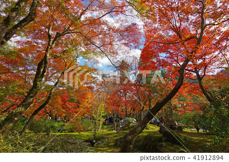The autumn leaves of Kyoto (Jujoin) The autumn leaves of Kyoto (Jujoin) 41912894