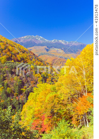 Mt. Norikura of autumn leaves (vertical) 41913478