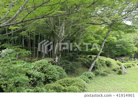 Yamaguchi Shogakuji Sesshu Garden 41914901