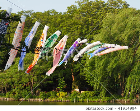 Carp streamer Carp streamer 41914994