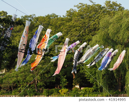 Carp streamer Carp streamer 41914995