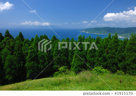 Miyazaki Prefecture Kushima-shi, Tsuii Cape Osumi Kaikyo Sato Cape Tanegashima Yakushima Distant Court 41915170