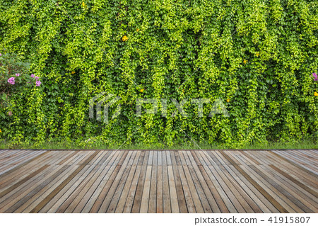 Woodecking or flooring and plant in garden decorative 41915807