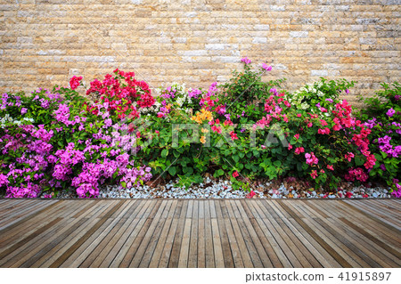 Woodecking or flooring and plant in garden decorative 41915897