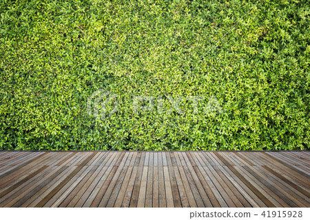 Woodecking or flooring and plant in garden decorative 41915928