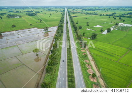 Aerial view from flying drone. Top view asphalt road in the middle of green young rice fields, Thailand Aerial view from flying drone. Top view asphalt road in the middle of green young rice fields, Thailand 41916732