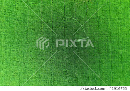 Aerial view from flying drone. Thai farmer spraying chemical to young green rice field Aerial view from flying drone. Thai farmer spraying chemical to young green rice field 41916763
