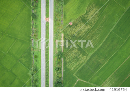 Aerial view from flying drone. Top view asphalt road in the middle of green young rice fields, Thailand 41916764
