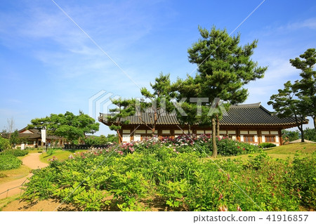 Suncheon Bay Suncheon Bay 41916857