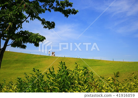 Suncheon Bay Suncheon Bay 41916859