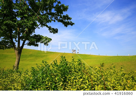Suncheon Bay Suncheon Bay 41916860