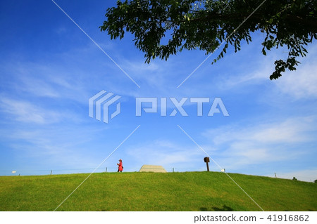 Suncheon Bay 41916862
