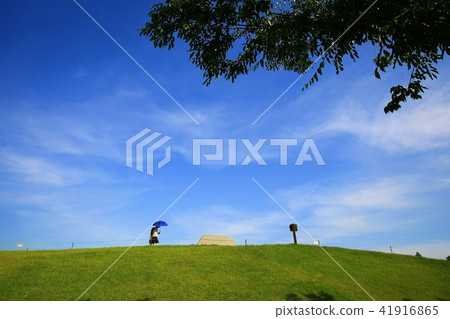 Suncheon Bay Suncheon Bay 41916865