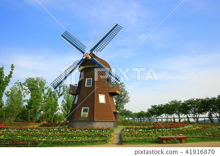 Suncheon Bay Suncheon Bay 41916870