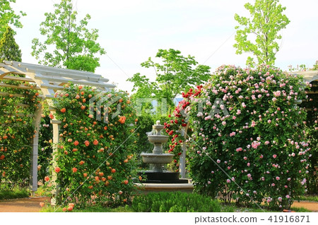 Suncheon Bay Suncheon Bay 41916871