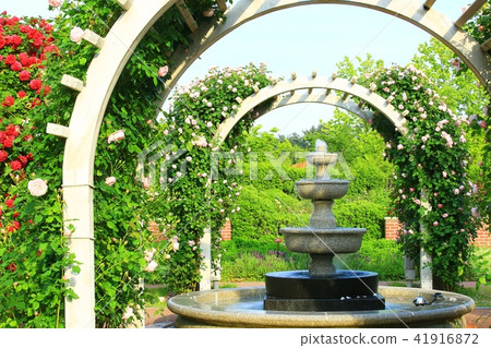 Suncheon Bay 41916872