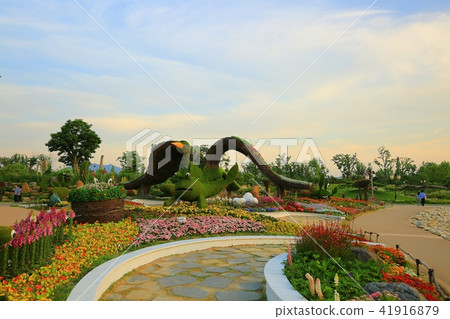 Suncheon Bay Suncheon Bay 41916879