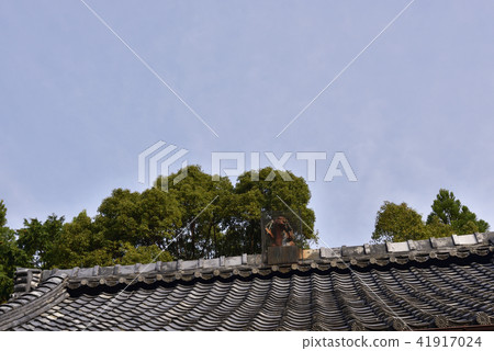 赤山禪猴猴猴（大廳） 41917024