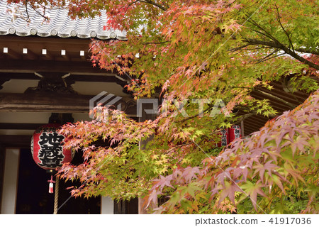 Akayama Zen-in Akayama Zen-in 41917036