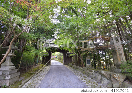 Akayama Zen-in 41917041