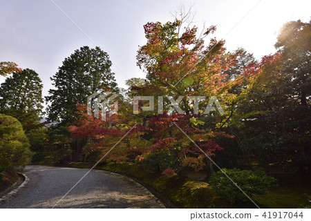 Shogakuin Rikyu 41917044