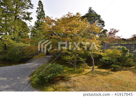 Shogakuin Rikyu 41917045