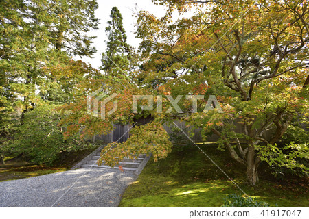 Shogakuin Imperial Palace Imperial Palace Omiyukon 41917047