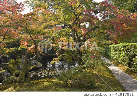 Shogakuin Imperial Palace Imperial Palace 41917051