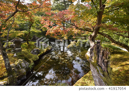 Shogakuin Imperial Palace Imperial Palace 41917054