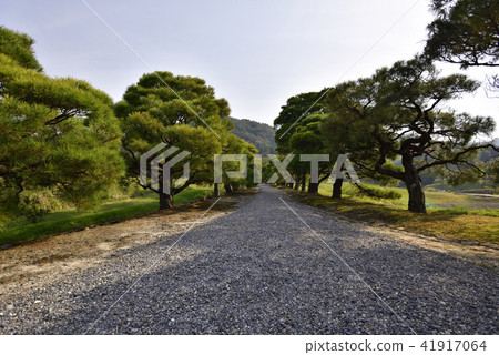 Shogakuin皇宮Namiki 41917064