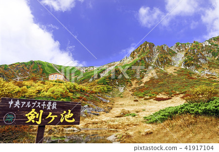 Autumn leaves of Senjojiki Karl 41917104