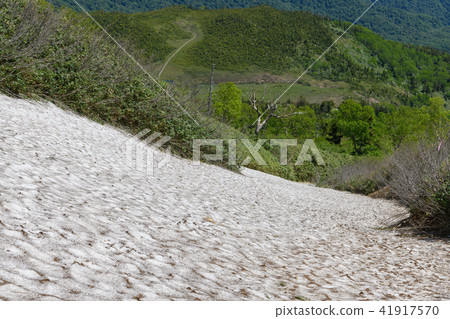 Yugetsutake's Snow River and Kumazawa Tashiro Yugetsutake's Snow River and Kumazawa Tashiro 41917570