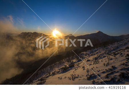 Lights like fire Lights like fire 41919116