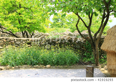 Past and present 41919293