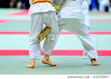 柔道 柔道 41919907