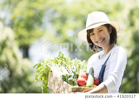 農業蔬菜收穫 41920317