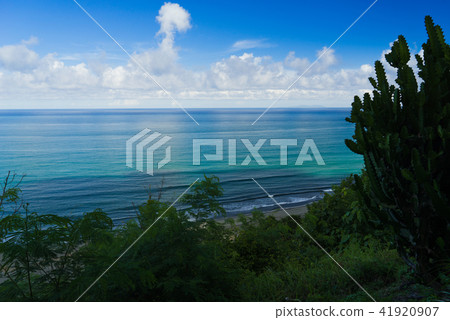 太平洋我來了 41920907