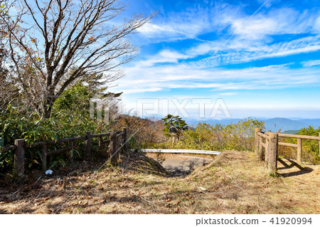 Autumn autumnal leaves Ginza · plum tree roaring park Kyushu central mountain (autumn leaves) shooting date; November 2017 Autumn autumnal leaves Ginza · plum tree roaring park Kyushu central mountain (autumn leaves) shooting date; November 2017 41920994