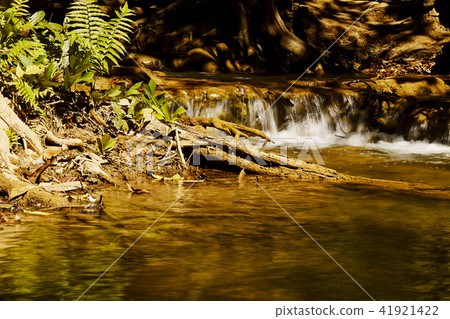 Forest mountain waterfall natural in Thailand 41921422