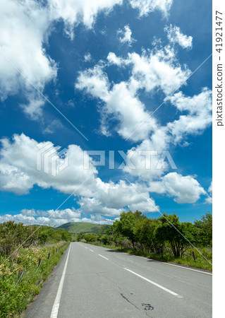 Shinshu Venus Line Hachiagahara Marsh Drive 41921477