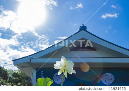 靜岡縣伊豆之國市玄武寺雙頭蓮花（二子之花） 41921653