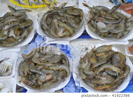 龍蝦 41922366