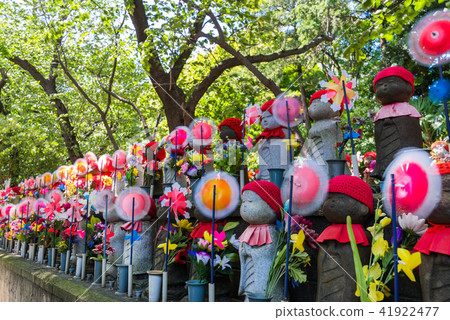 Chikusen education of Zojoji Kagoshima Prefecture 41922477