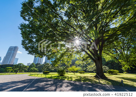Scenery of Hamarikyū glorious garden where the sunlight leaks through Scenery of Hamarikyū glorious garden where the sunlight leaks through 41922512